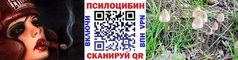 Галлюциногенные грибы Cubensis  Купить где  Балахна 